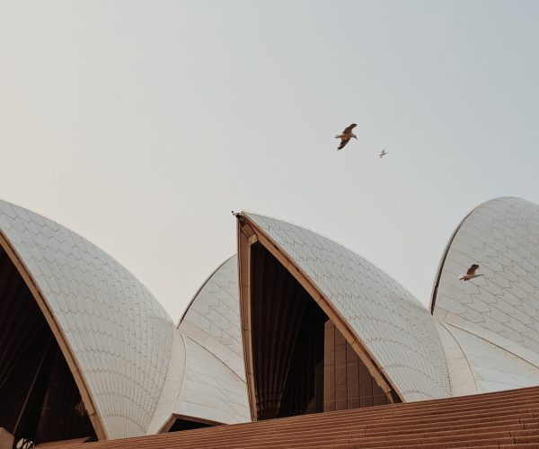 Sydney Opera House reviews image